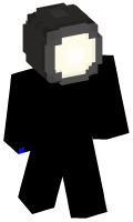 Skinfile