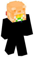 Skinfile