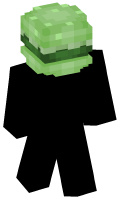 Skinfile