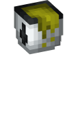 Skinfile