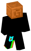 Skinfile