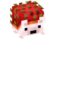 Skinfile