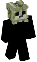 Skinfile