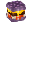 Skinfile
