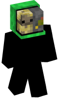 Skinfile
