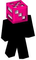 Skinfile