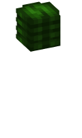 Skinfile