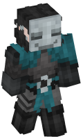 Skinfile