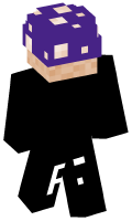 Skinfile
