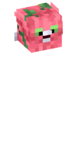 Skinfile