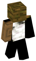 Skinfile