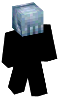 Skinfile