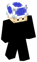 Skinfile