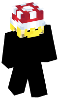 Skinfile