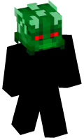 Skinfile