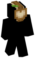 Skinfile