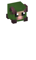 Skinfile