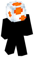 Skinfile