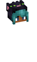 Skinfile