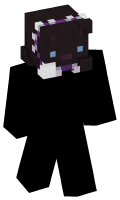 Skinfile