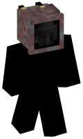 Skinfile