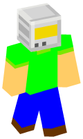 Skinfile