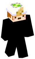 Skinfile