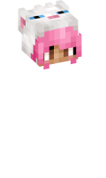 Skinfile