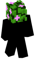 Skinfile