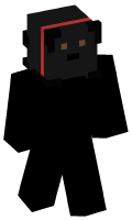 Skinfile