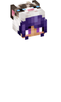 Skinfile