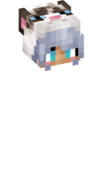 Skinfile