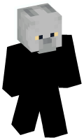 Skinfile