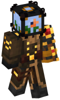 Skinfile