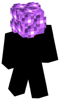 Skinfile