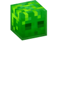 Skinfile