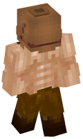 Skinfile
