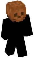 Skinfile