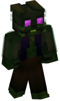 Skinfile