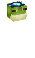 Skinfile