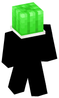 Skinfile