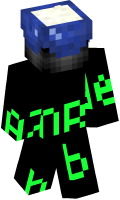 Skinfile
