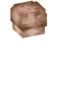 Skinfile