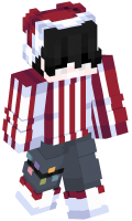 Skinfile