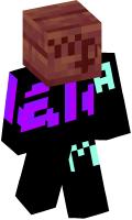 Skinfile