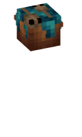 Skinfile