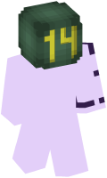 Skinfile
