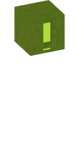 Skinfile