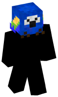 Skinfile