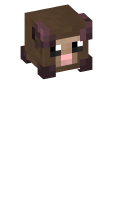 Skinfile